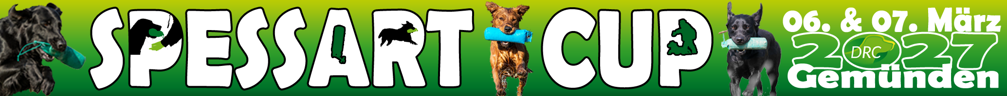 DRC WT Spessart Cup-Logo
